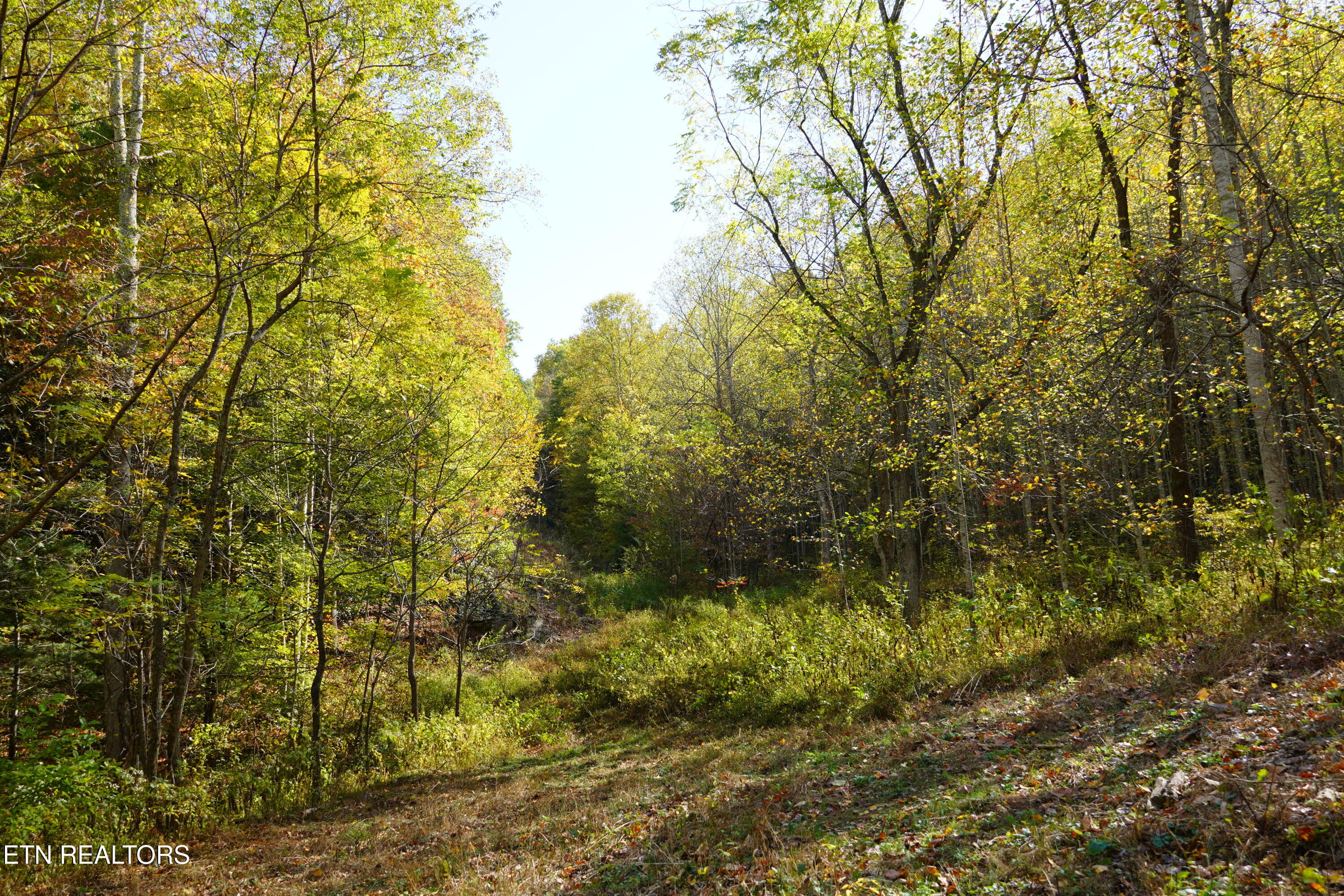 Par 033.01 South Highway 32 Cosby TN 37722