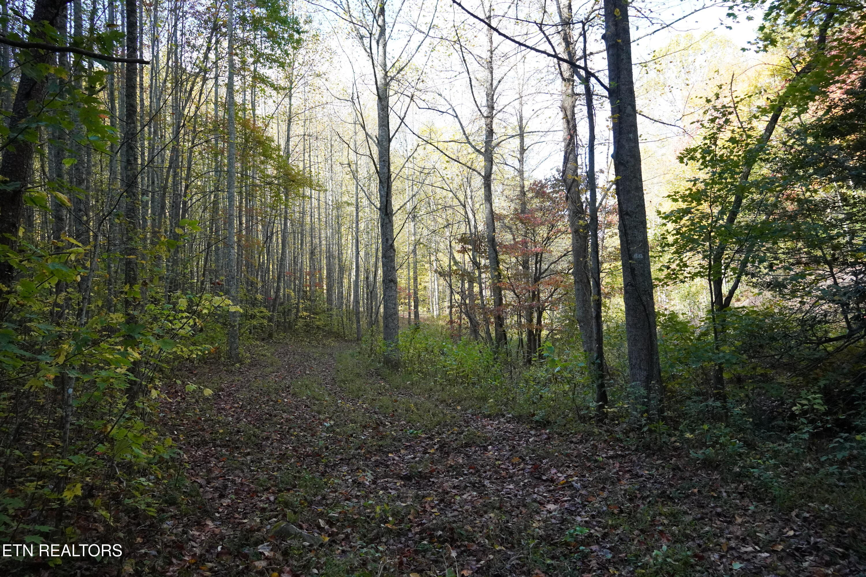 Par 033.01 South Highway 32 Cosby TN 37722