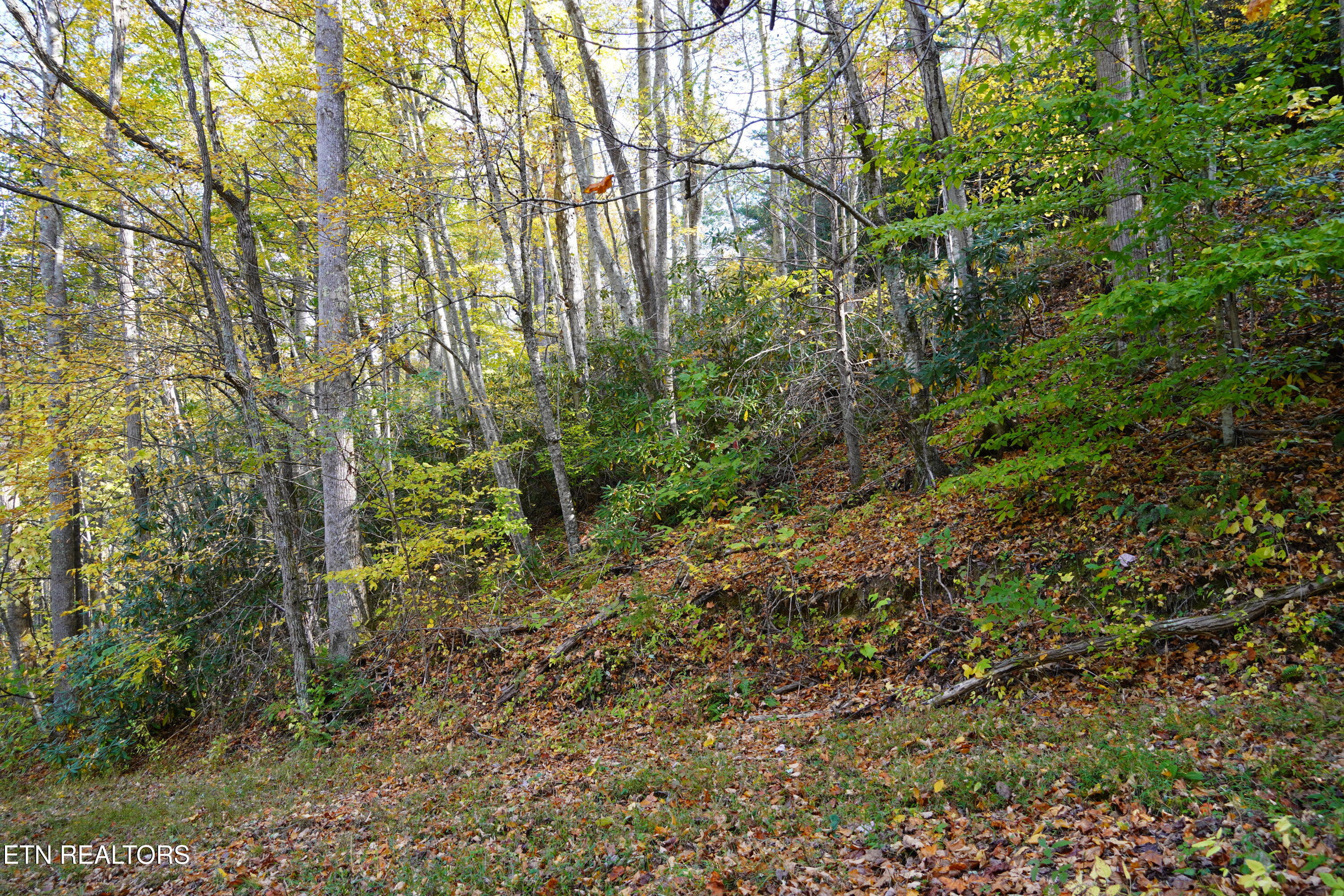 Par 033.01 South Highway 32 Cosby TN 37722