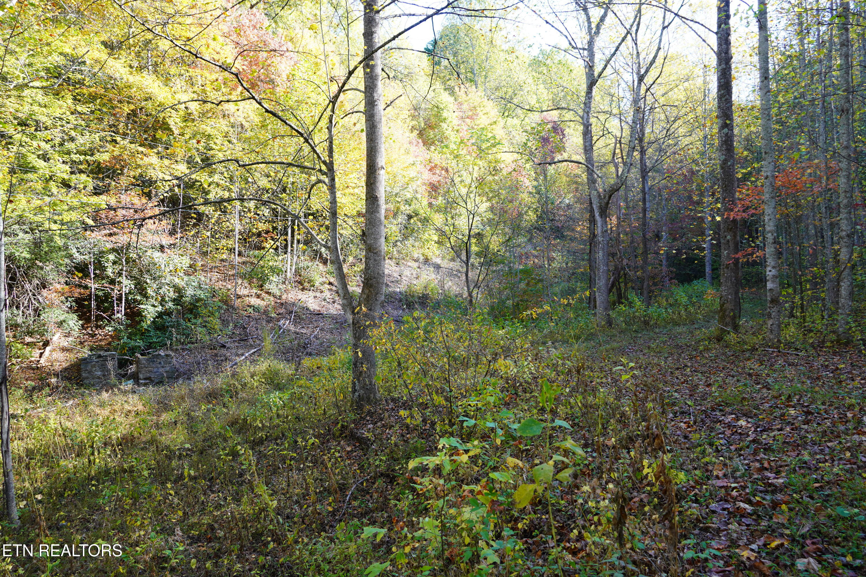 Par 033.01 South Highway 32 Cosby TN 37722