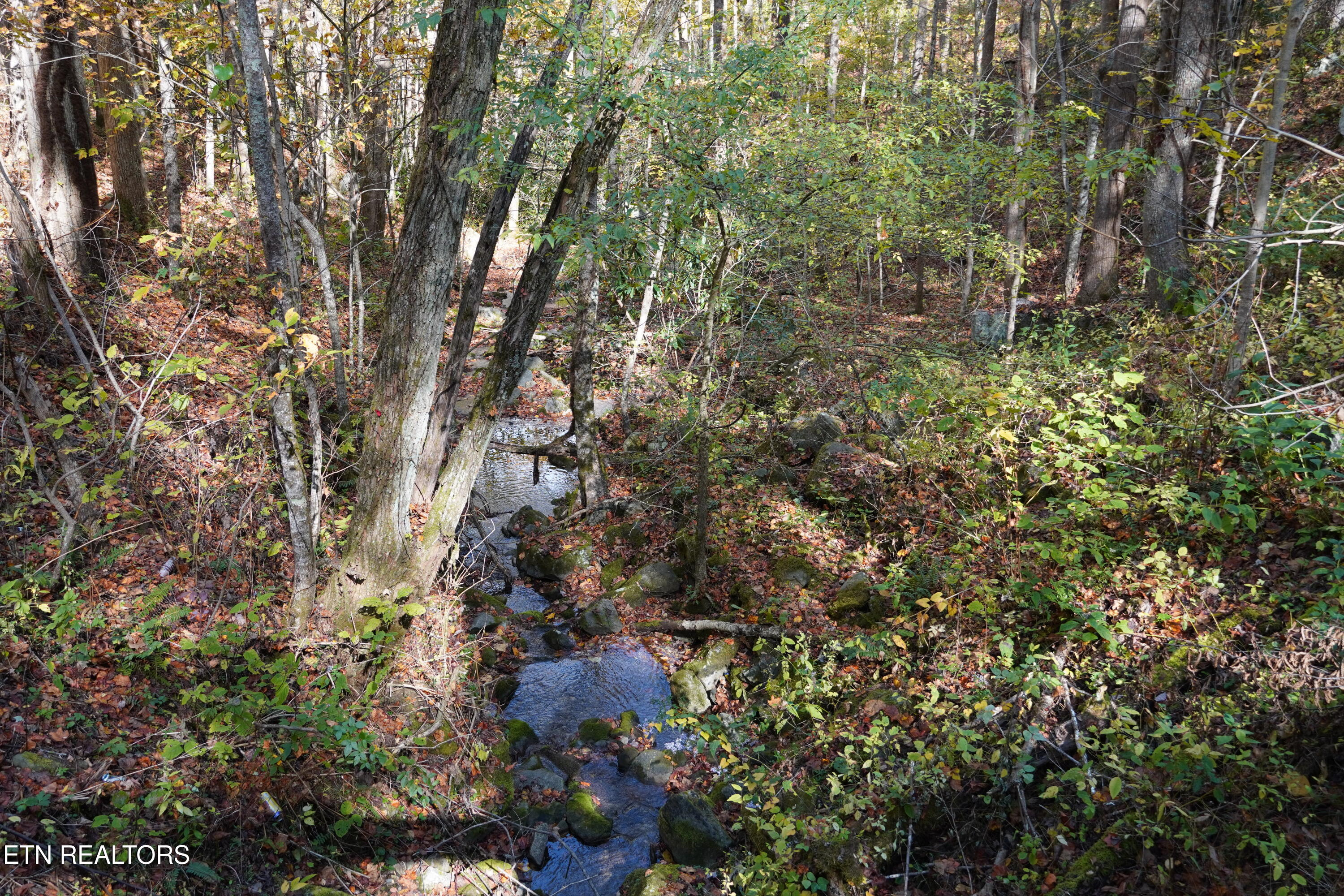 Par 033.01 South Highway 32 Cosby TN 37722