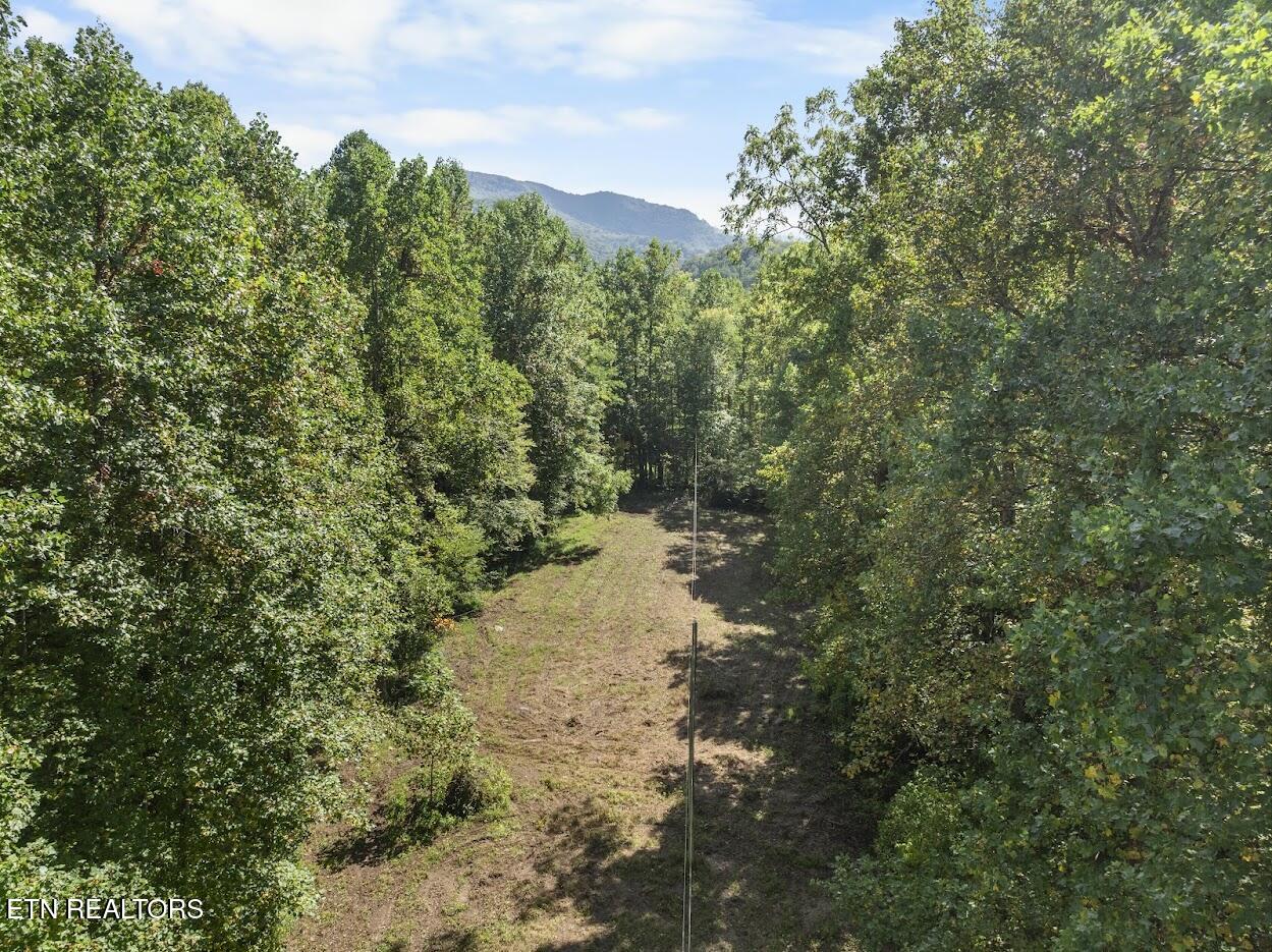 Par 033.01 South Highway 32 Cosby TN 37722