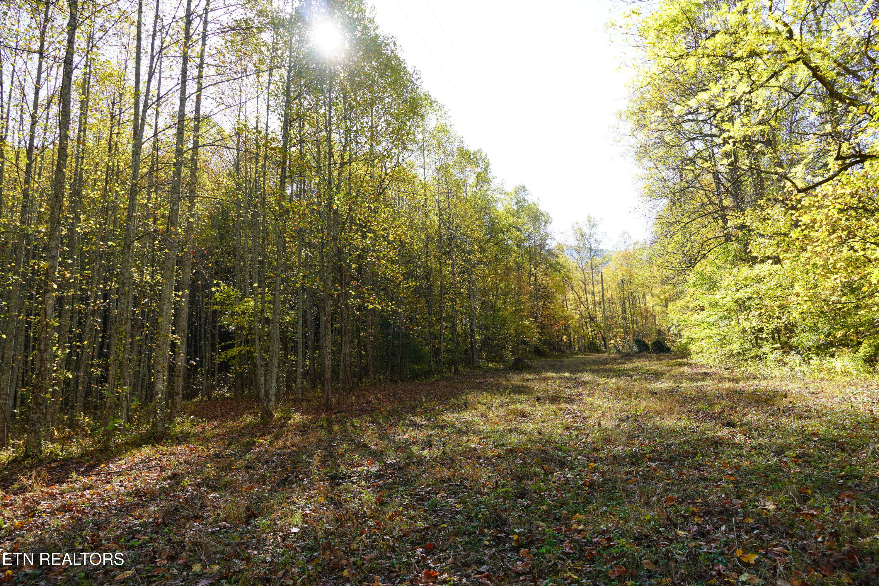 Par 033.01 South Highway 32 Cosby TN 37722