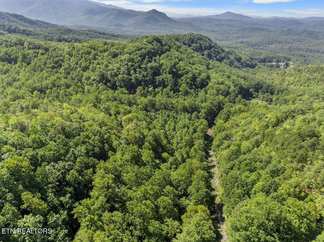 Par 033.01 South Highway 32 Cosby TN 37722