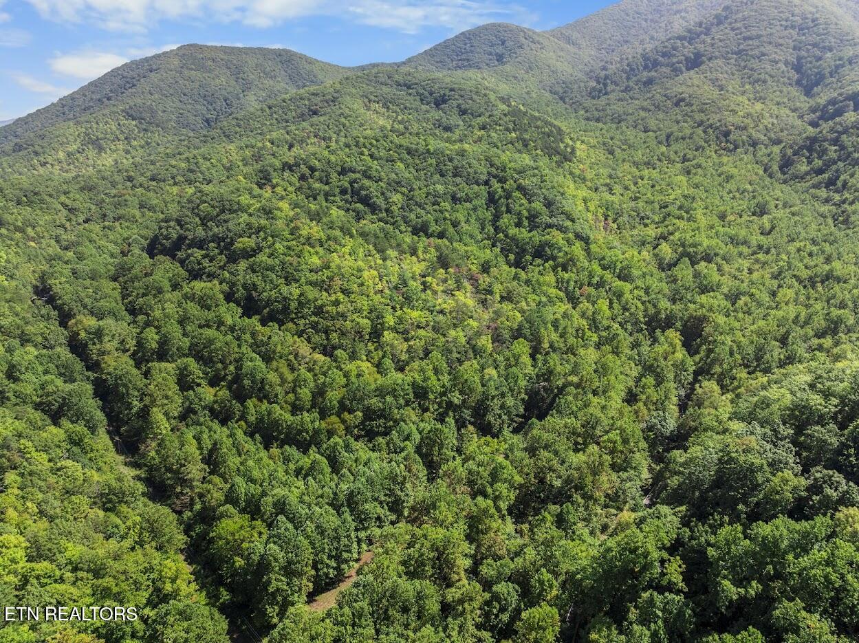 Par 033.01 South Highway 32 Cosby TN 37722
