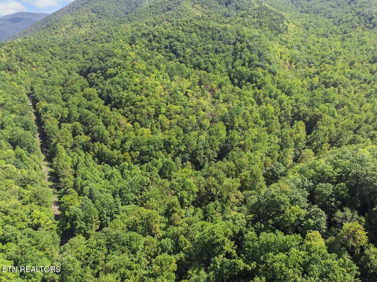 Par 033.01 South Highway 32 Cosby TN 37722
