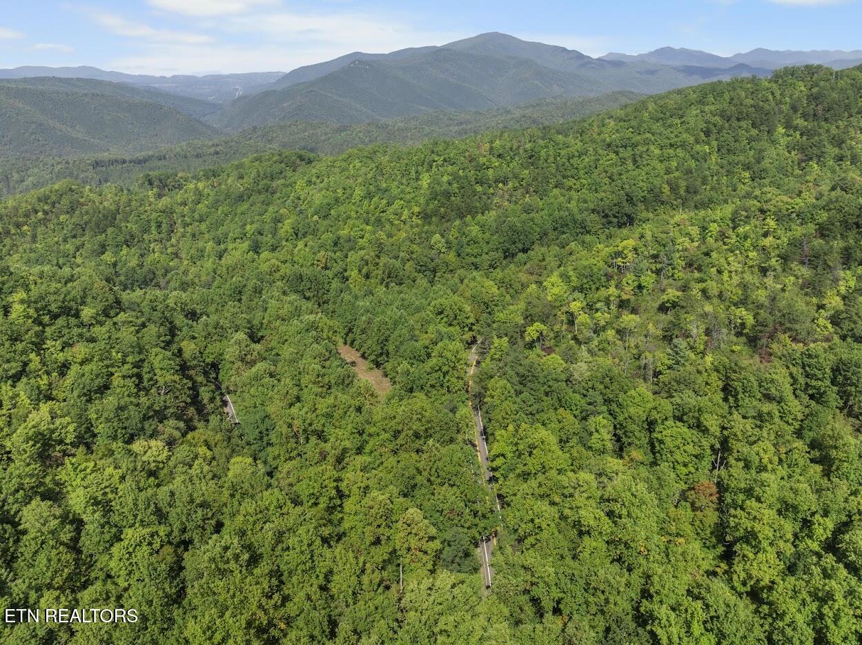 Par 033.01 South Highway 32 Cosby TN 37722