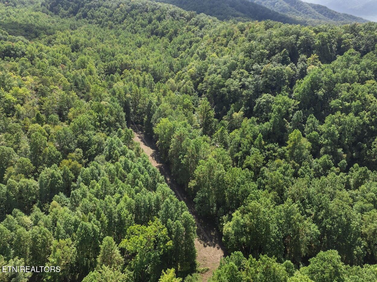 Par 033.01 South Highway 32 Cosby TN 37722