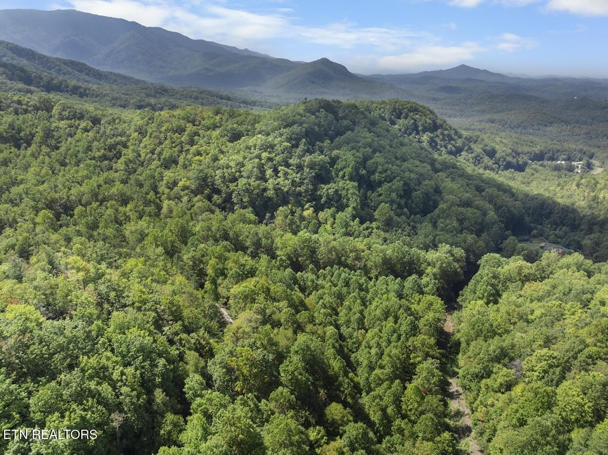 Par 033.01 South Highway 32 Cosby TN 37722