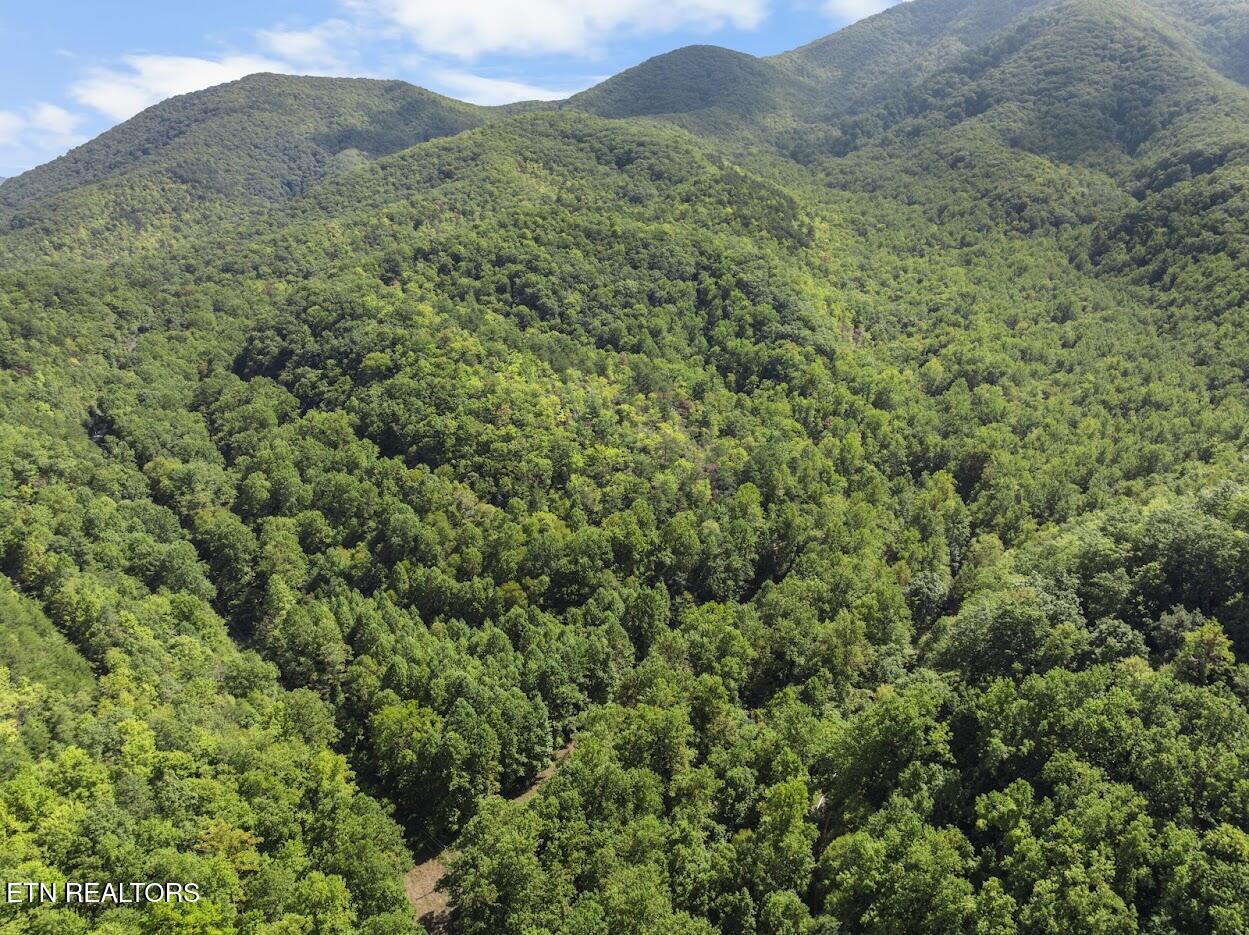 Par 033.01 South Highway 32 Cosby TN 37722