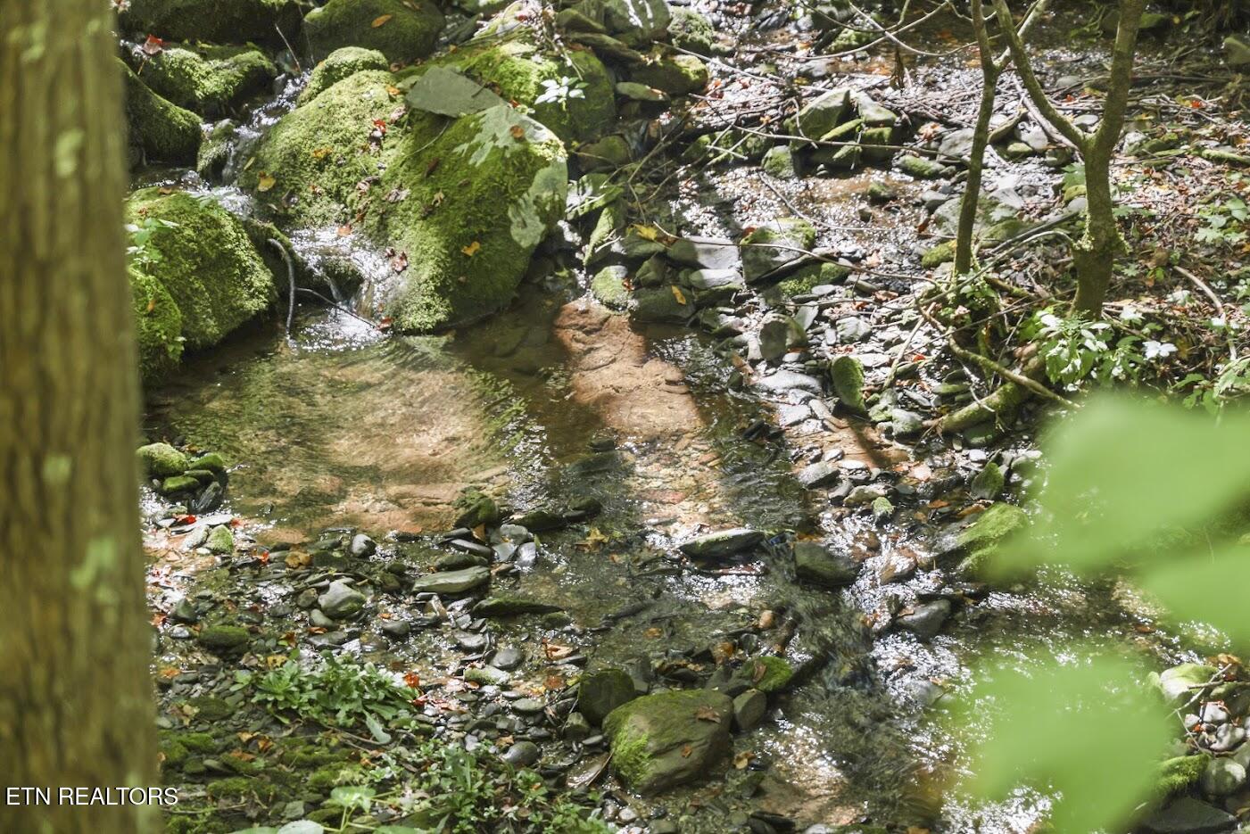 Par 033.01 South Highway 32 Cosby TN 37722