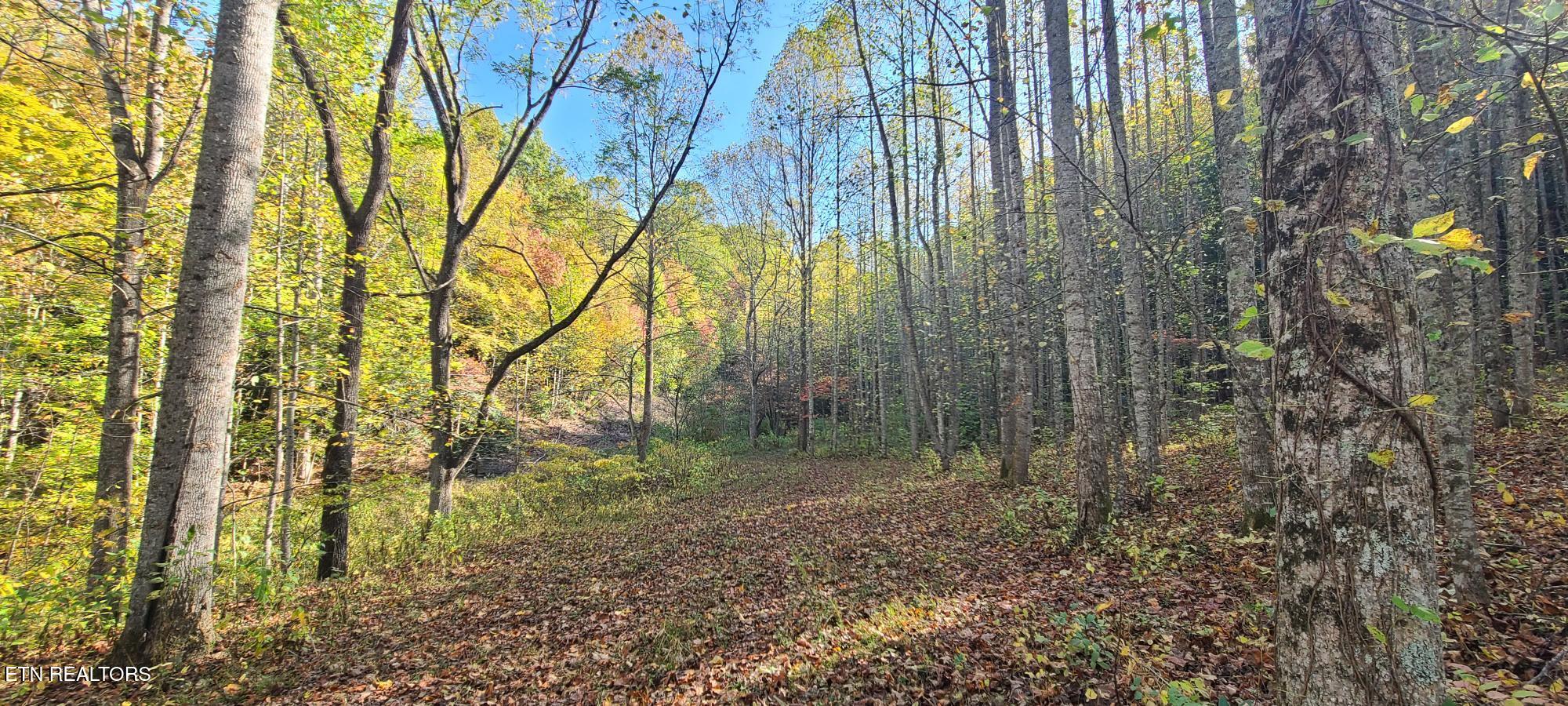 Par 033.01 South Highway 32 Cosby TN 37722