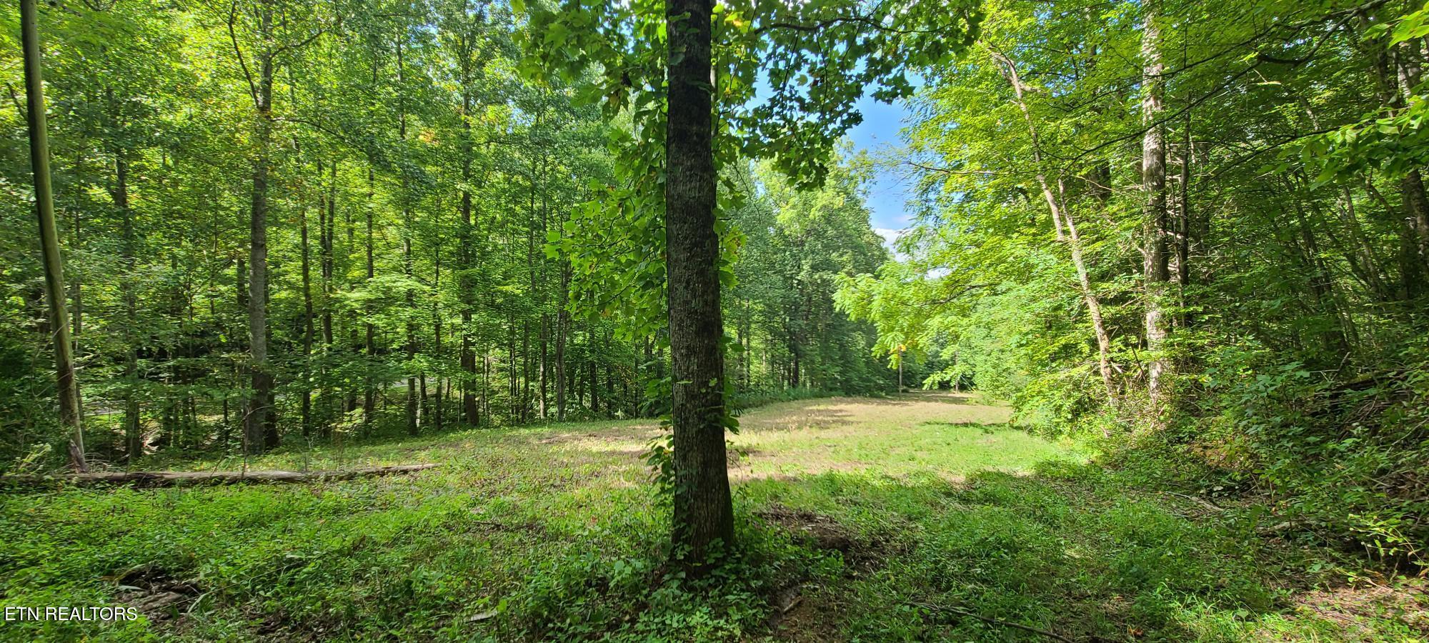 Par 033.01 South Highway 32 Cosby TN 37722