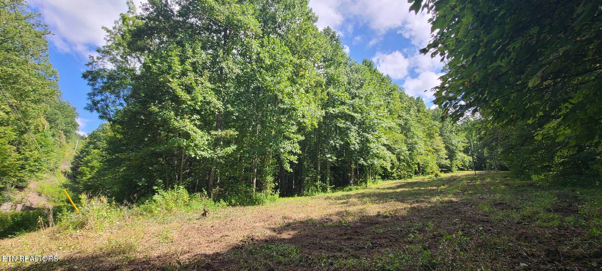 Par 033.01 South Highway 32 Cosby TN 37722