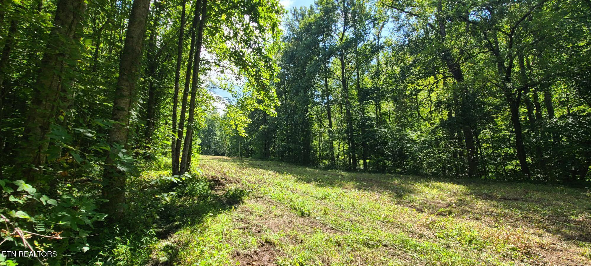 Par 033.01 South Highway 32 Cosby TN 37722