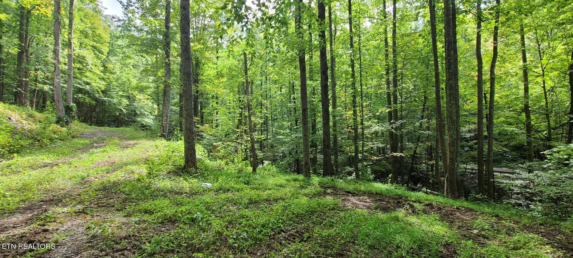 Par 033.01 South Highway 32 Cosby TN 37722