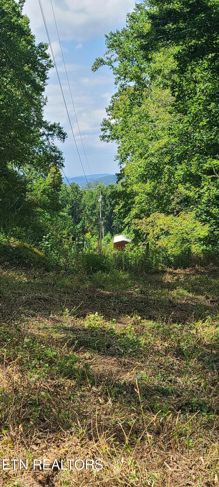 Par 033.01 South Highway 32 Cosby TN 37722