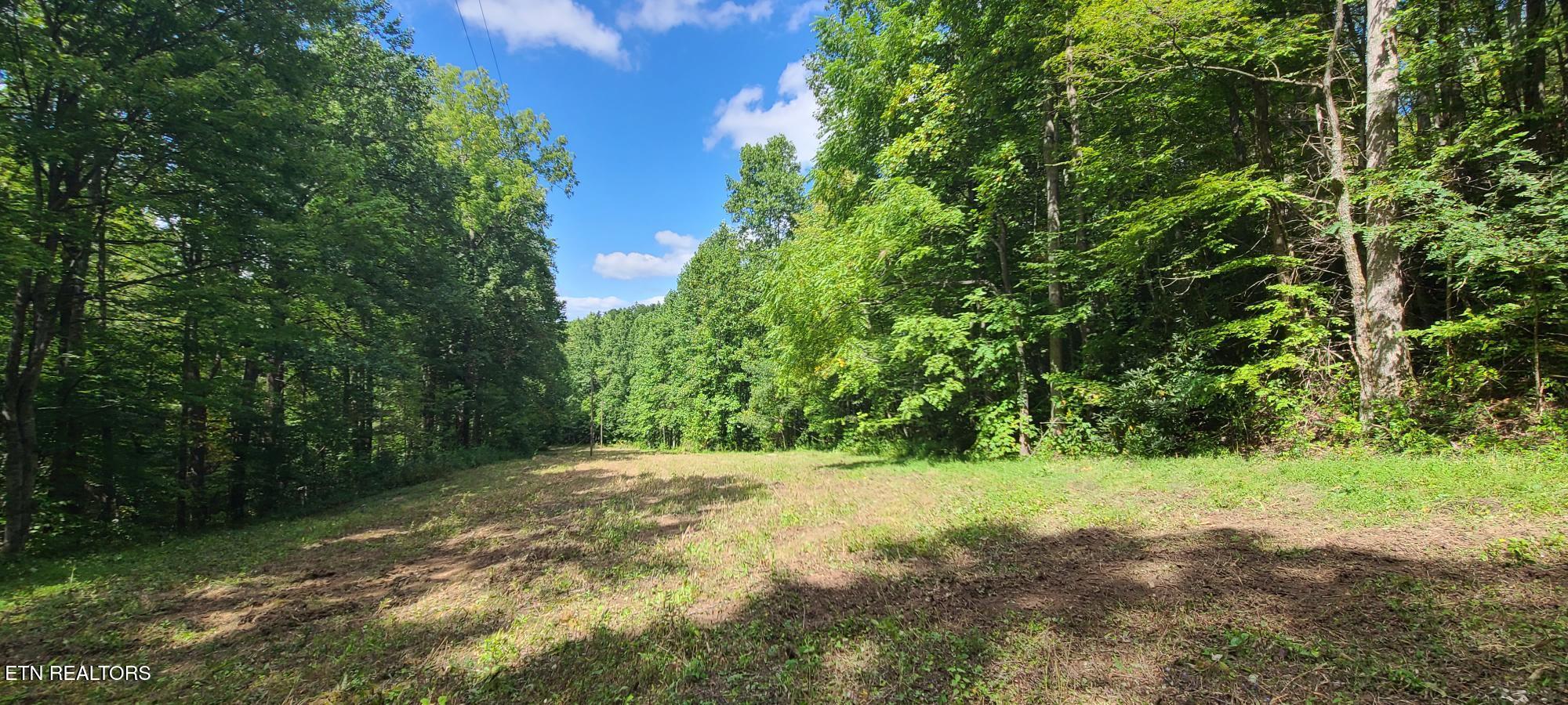 Par 033.01 South Highway 32 Cosby TN 37722