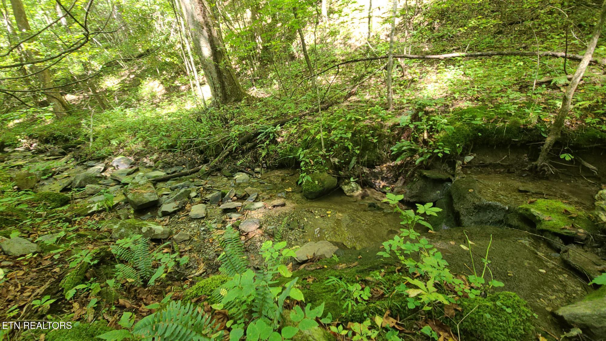 Par 033.01 South Highway 32 Cosby TN 37722