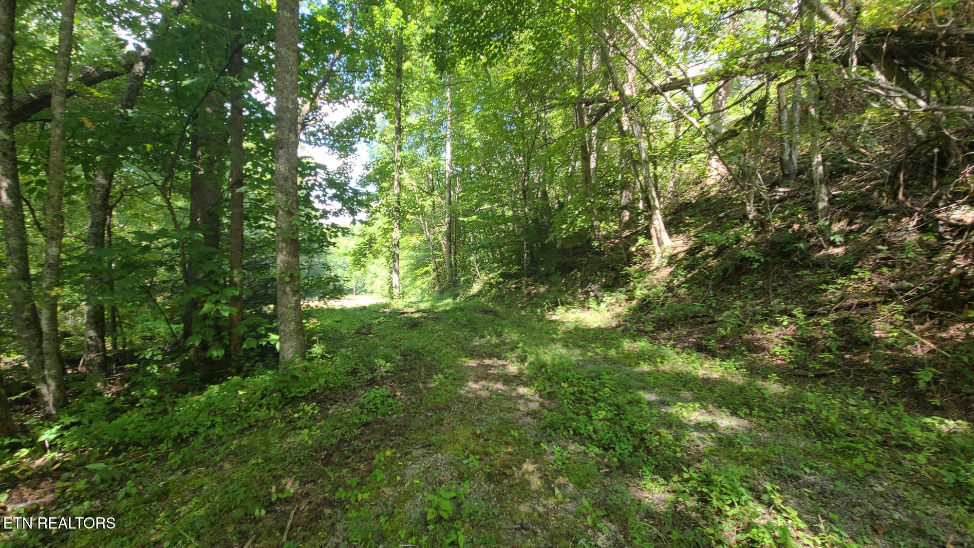 Par 033.01 South Highway 32 Cosby TN 37722