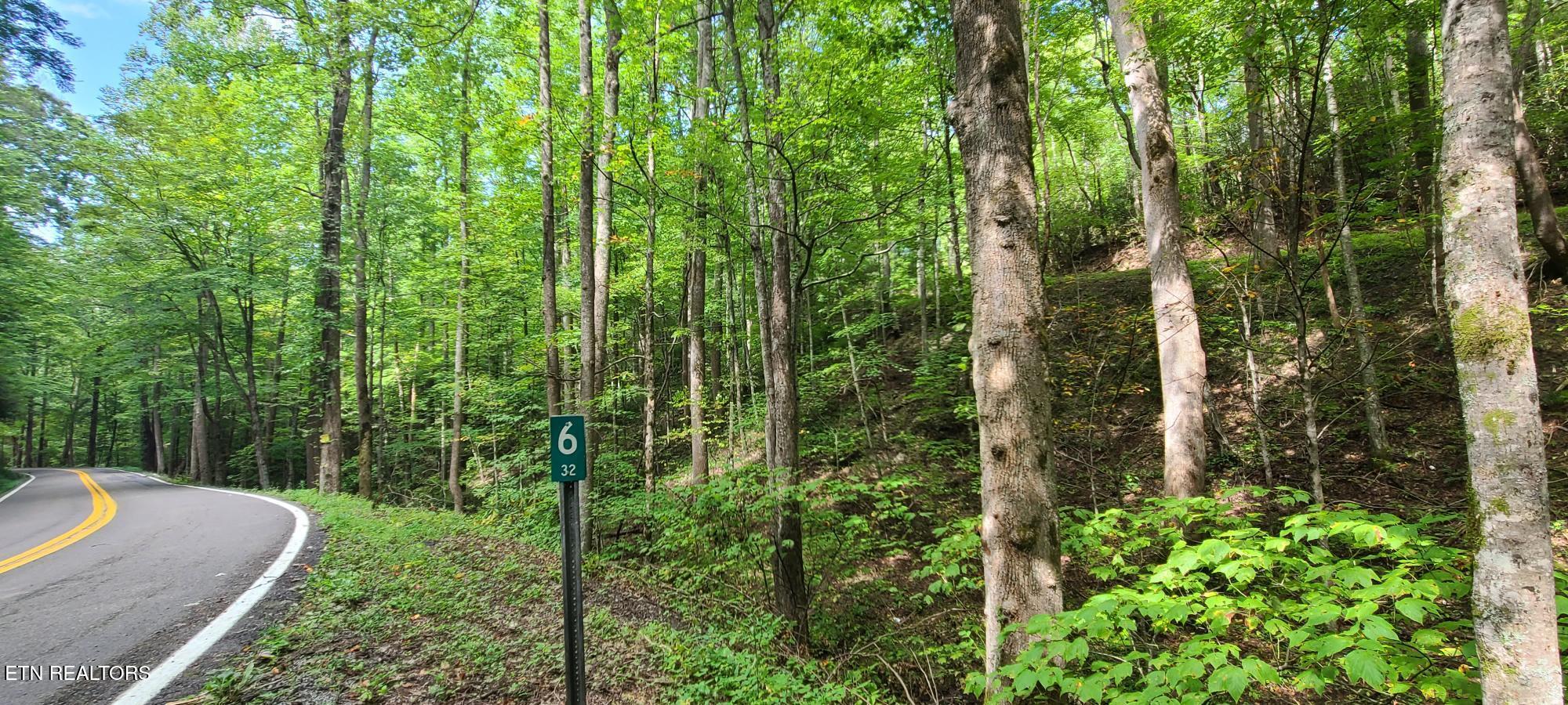 Par 033.01 South Highway 32 Cosby TN 37722
