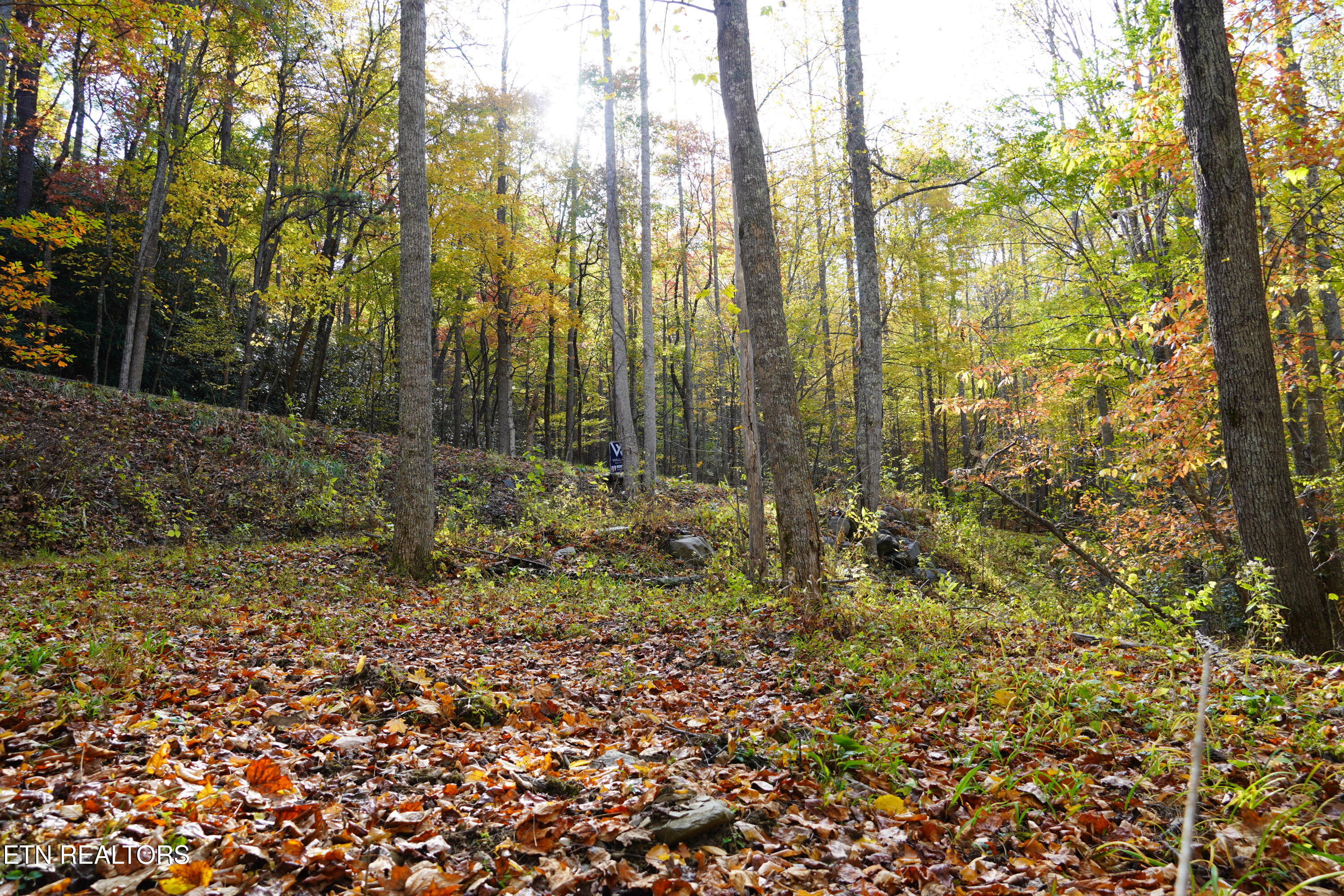 Par 033.01 South Highway 32 Cosby TN 37722