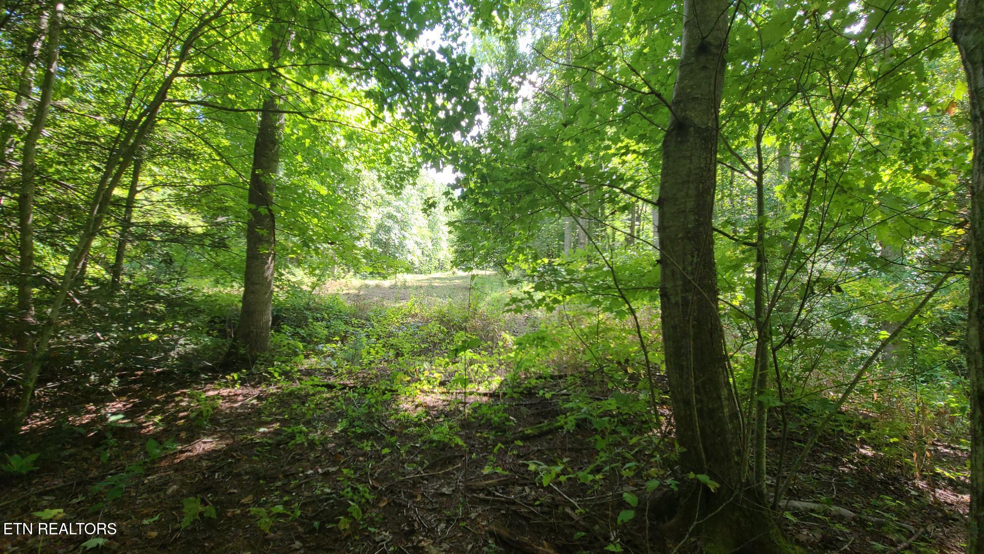 Par 033.01 South Highway 32 Cosby TN 37722