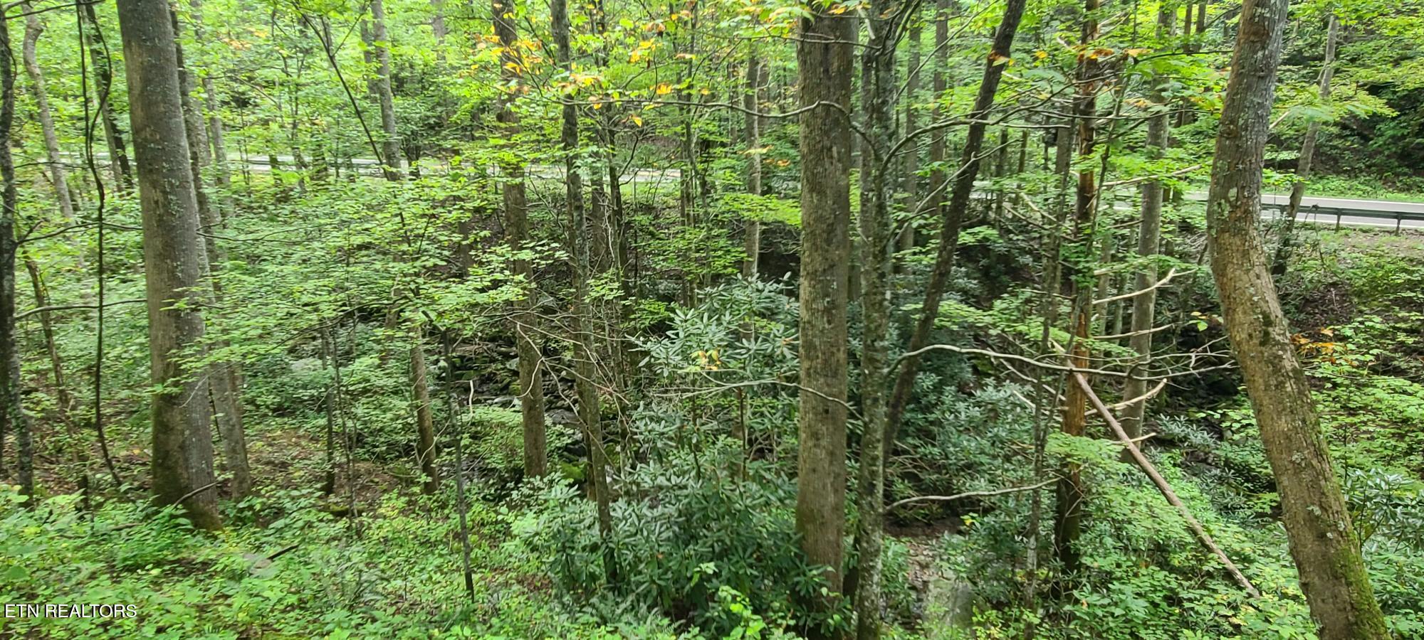 Par 033.01 South Highway 32 Cosby TN 37722