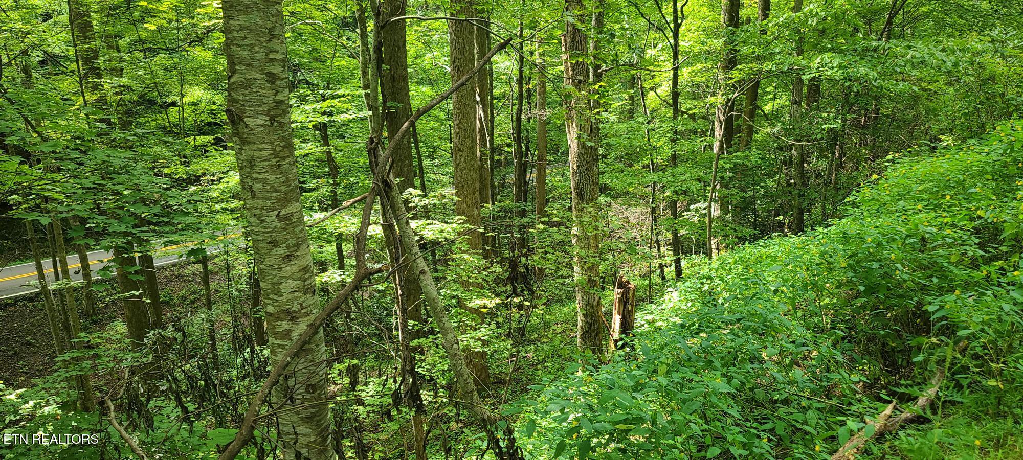 Par 033.01 South Highway 32 Cosby TN 37722