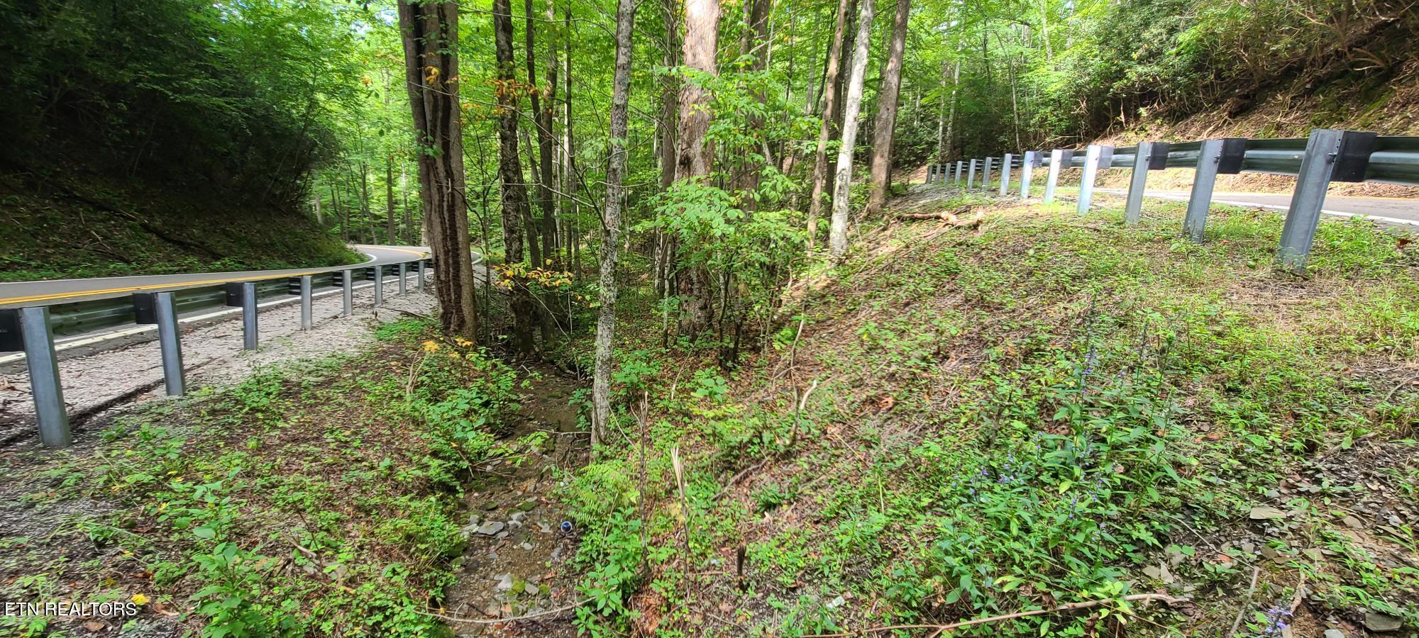 Par 033.01 South Highway 32 Cosby TN 37722
