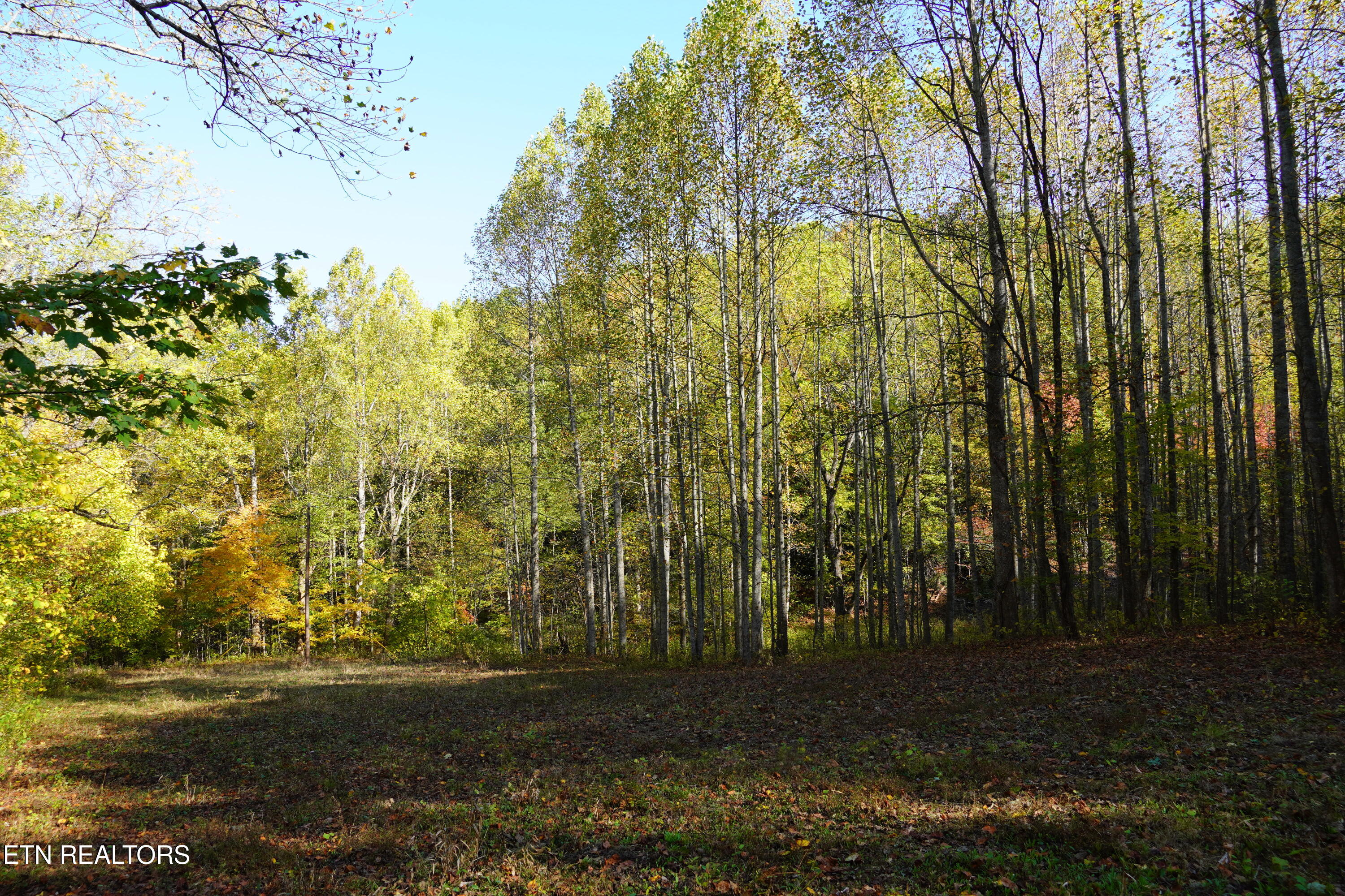 Par 033.01 South Highway 32 Cosby TN 37722