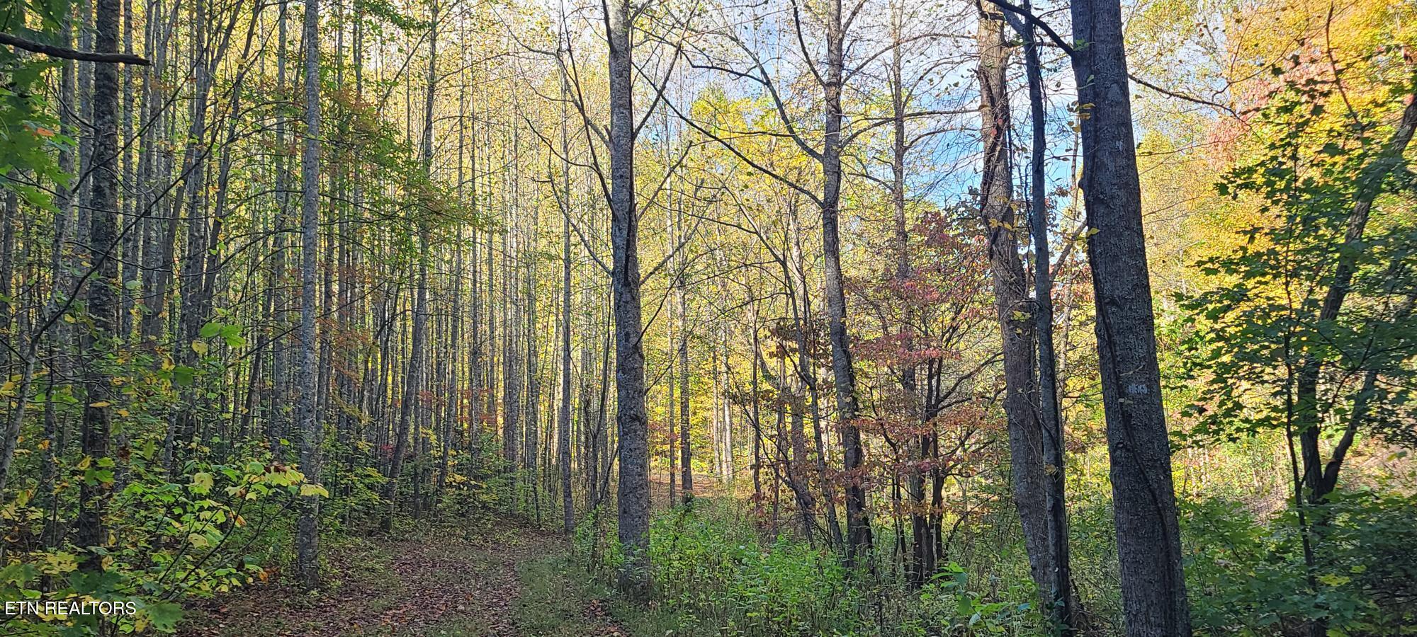 Par 033.01 South Highway 32 Cosby TN 37722
