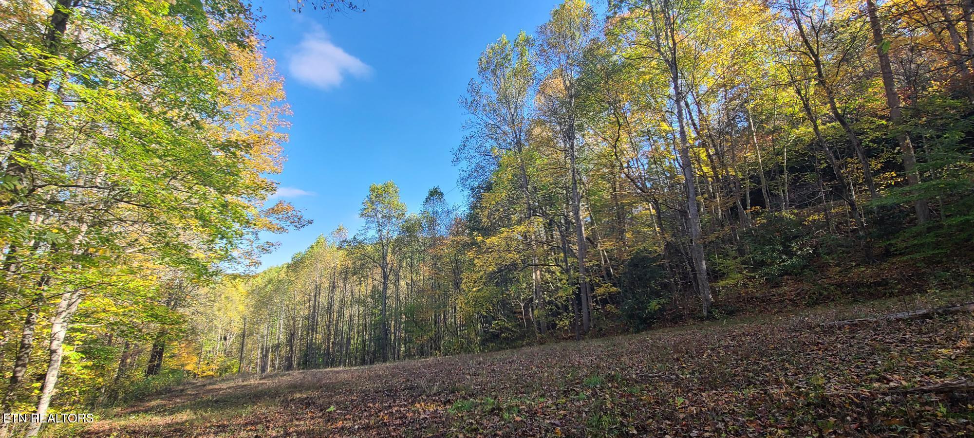 Par 033.01 South Highway 32 Cosby TN 37722