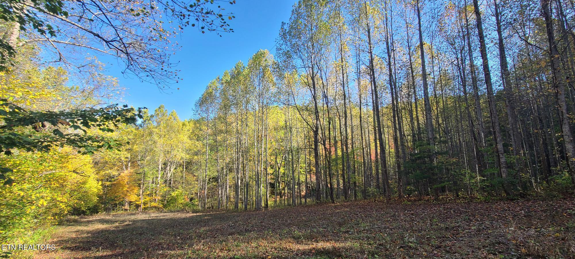 Par 033.01 South Highway 32 Cosby TN 37722