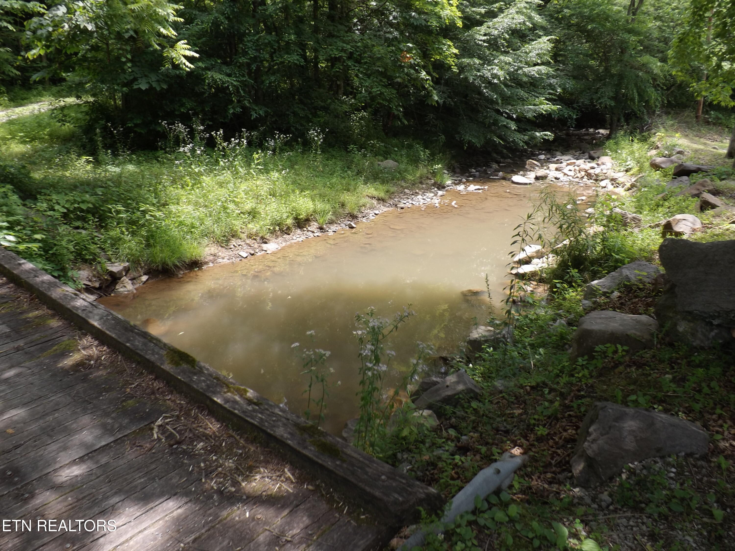 Tbd Snake Hollow Road Sneedville TN 37869