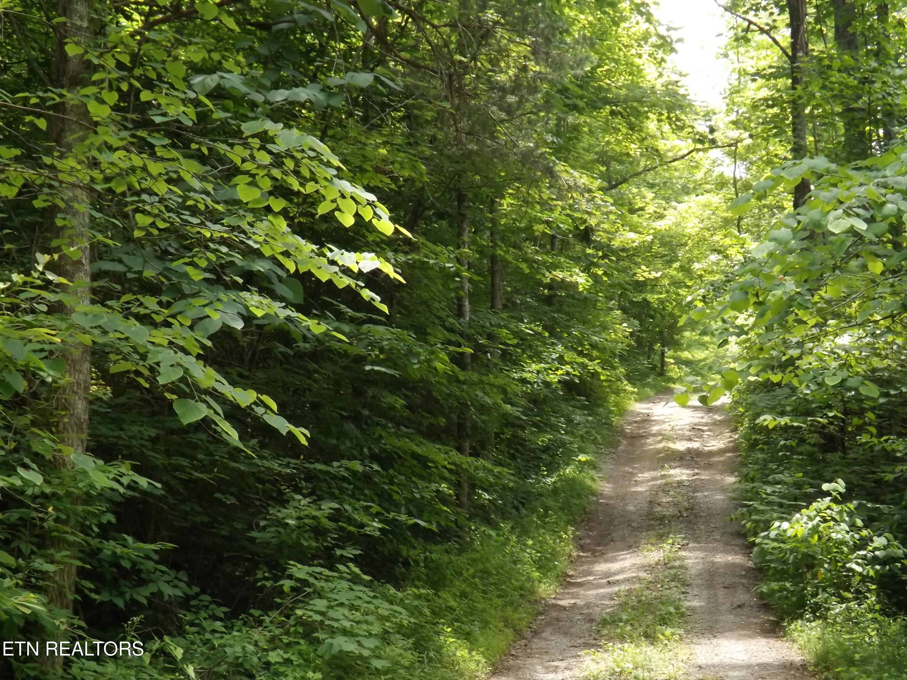 Tbd Snake Hollow Road Sneedville TN 37869