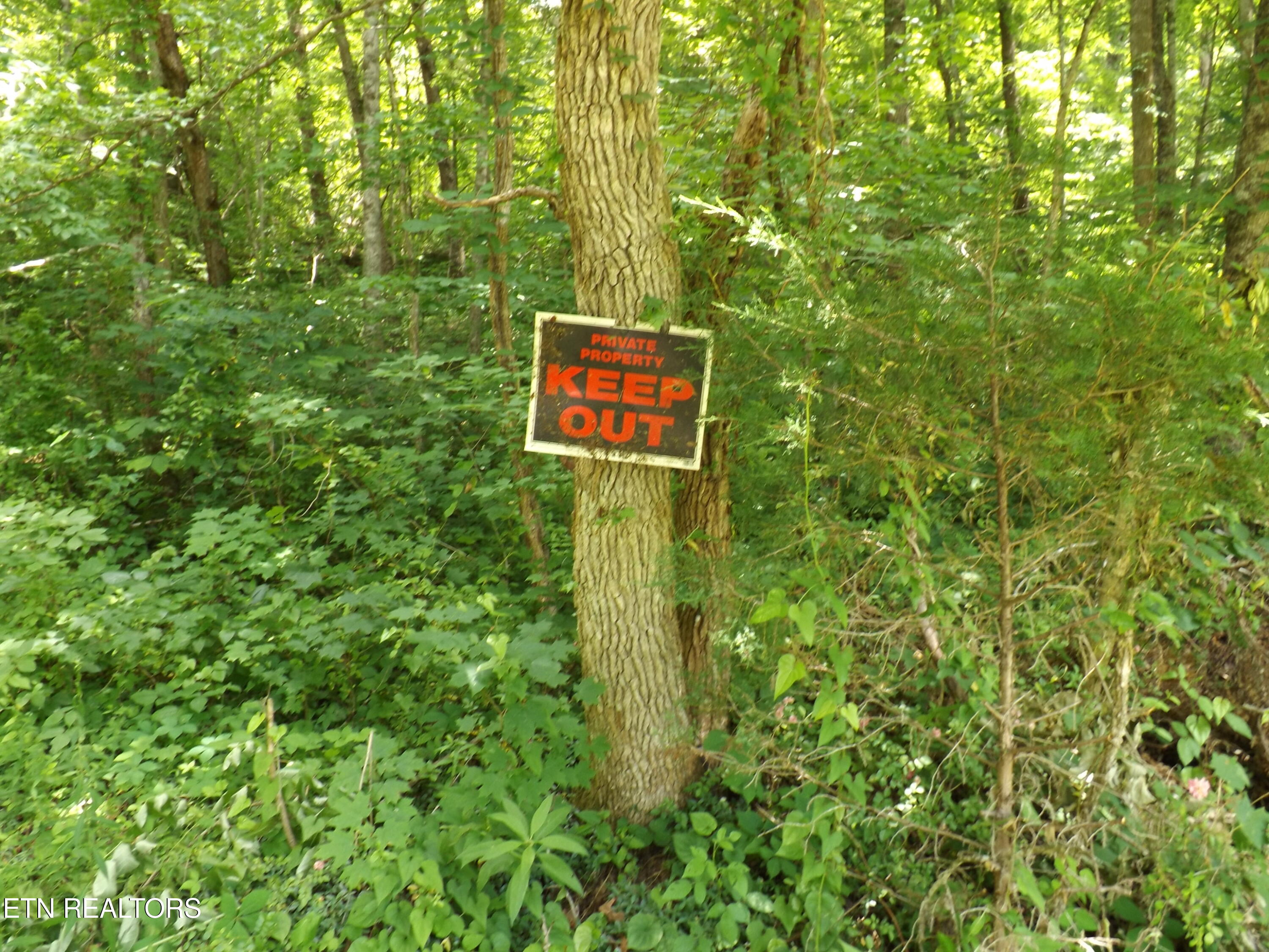 Tbd Snake Hollow Road Sneedville TN 37869