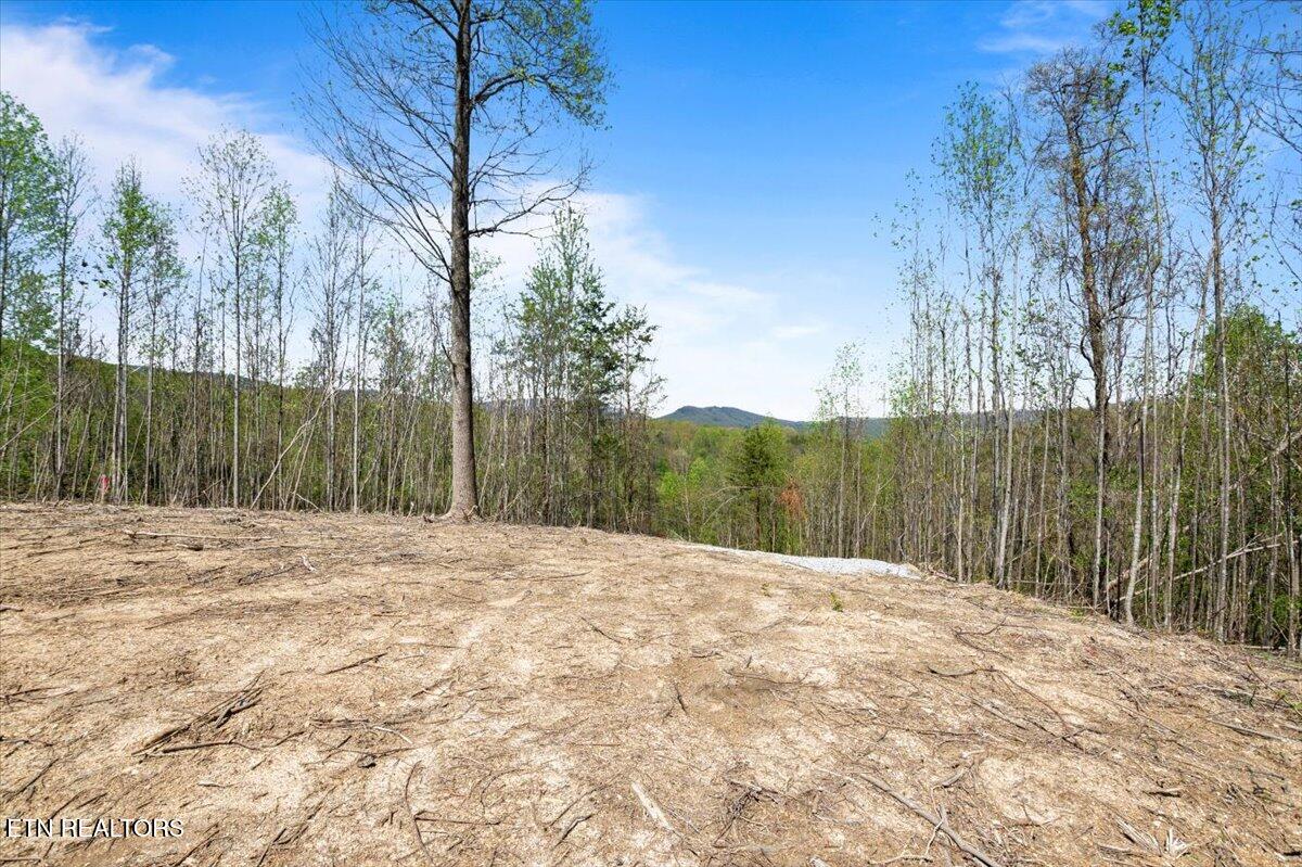 281 Red Oak Circle Caryville TN 37714