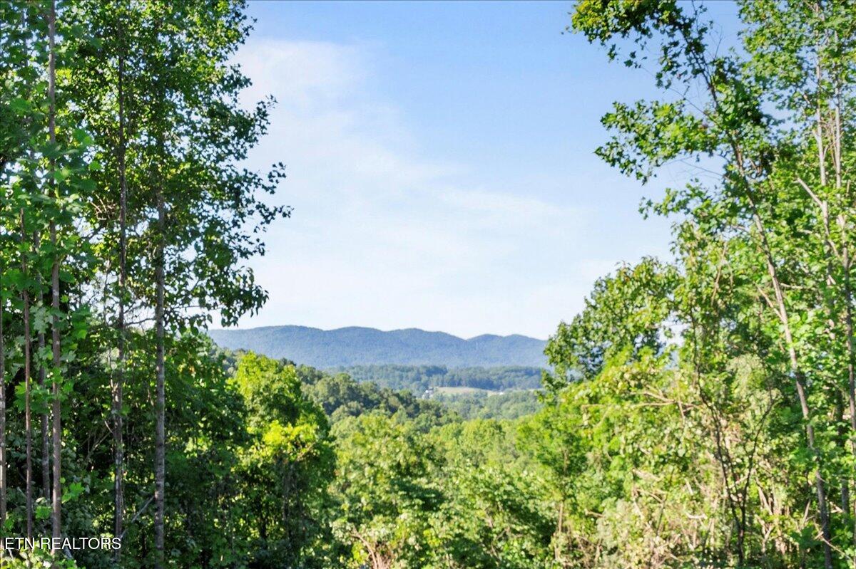 281 Red Oak Circle Caryville TN 37714