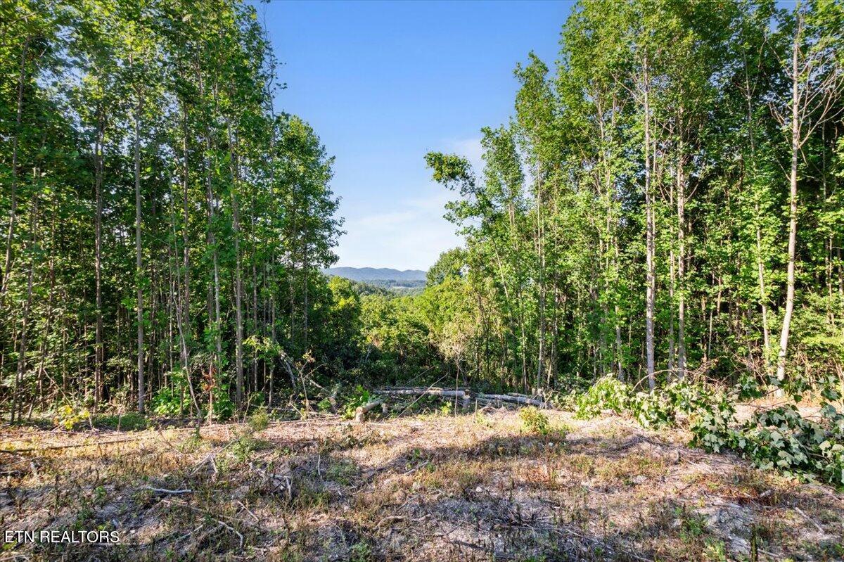 281 Red Oak Circle Caryville TN 37714