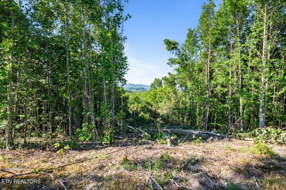281 Red Oak Circle Caryville TN 37714
