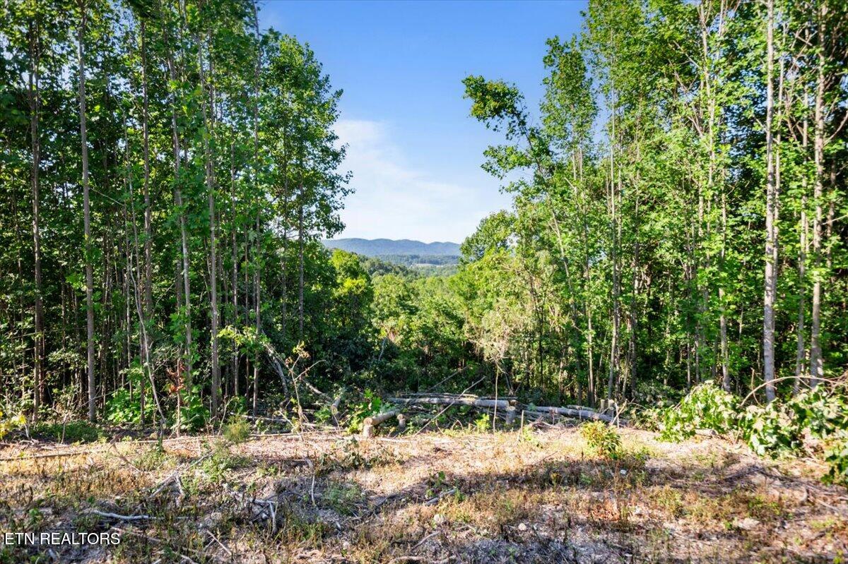 281 Red Oak Circle Caryville TN 37714