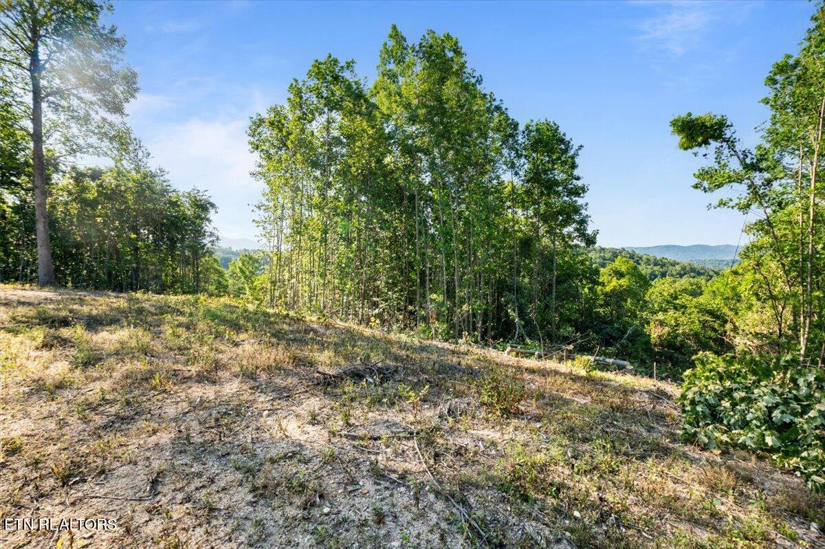 281 Red Oak Circle Caryville TN 37714