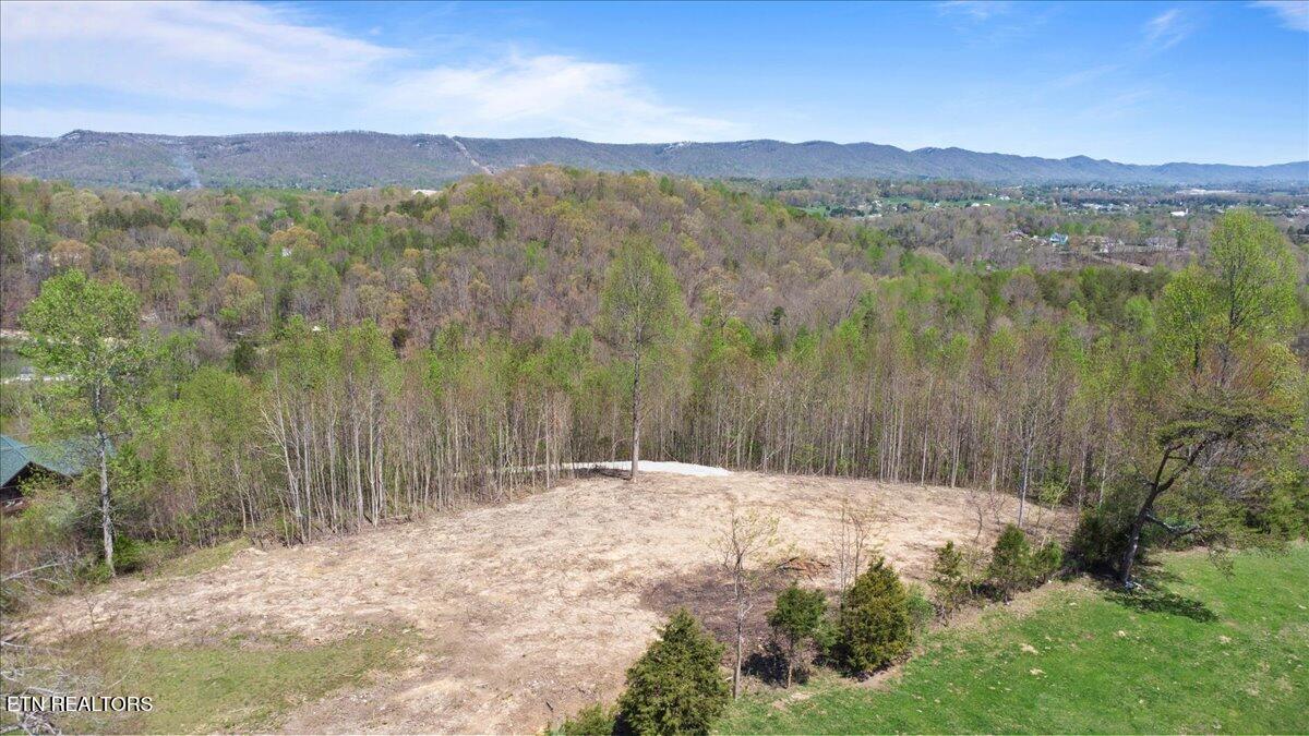 281 Red Oak Circle Caryville TN 37714