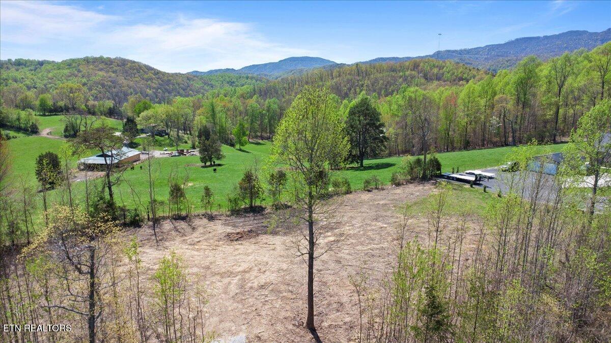 281 Red Oak Circle Caryville TN 37714