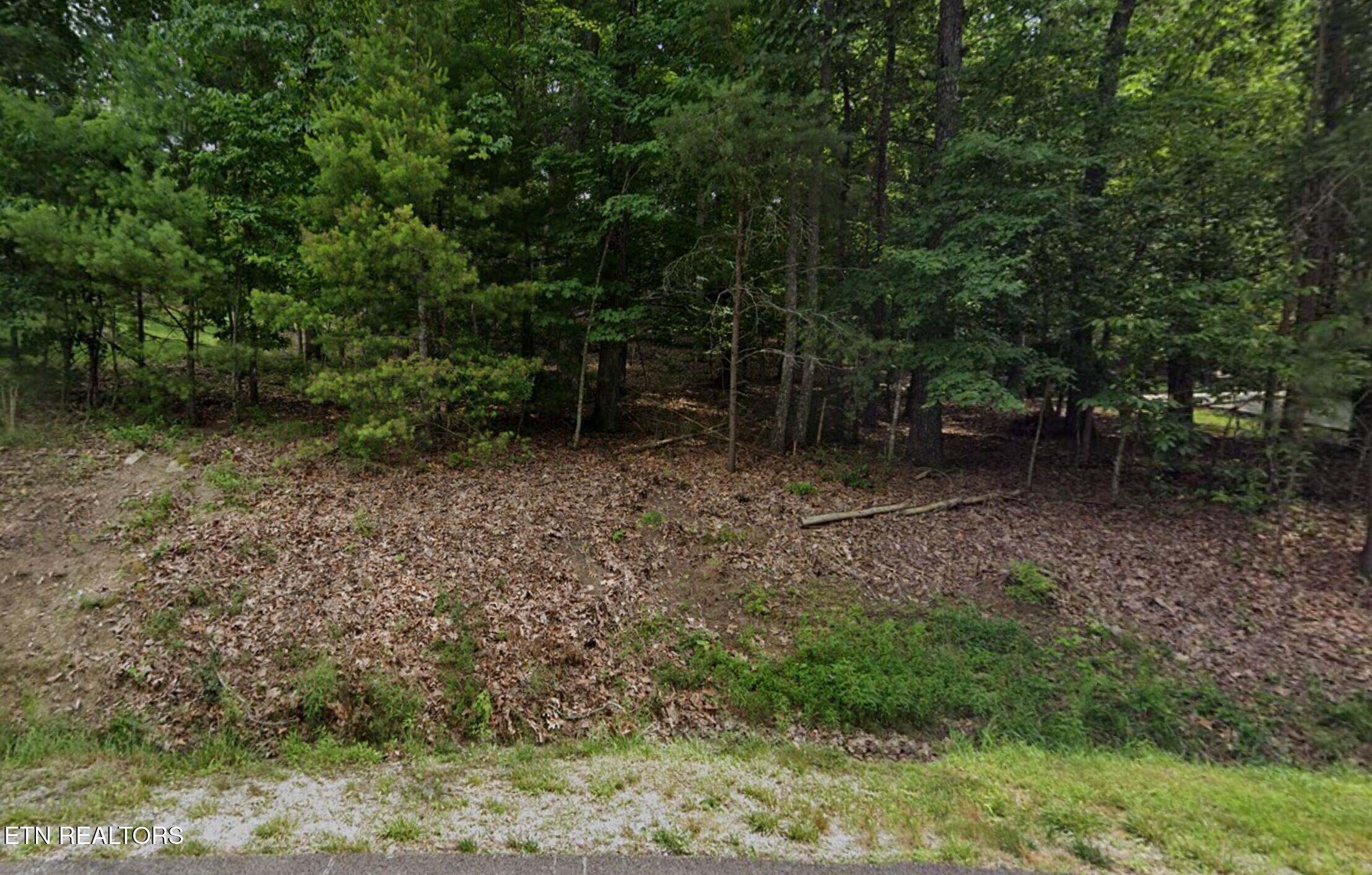 36 Markham Terrace Fairfield Glade TN 38558