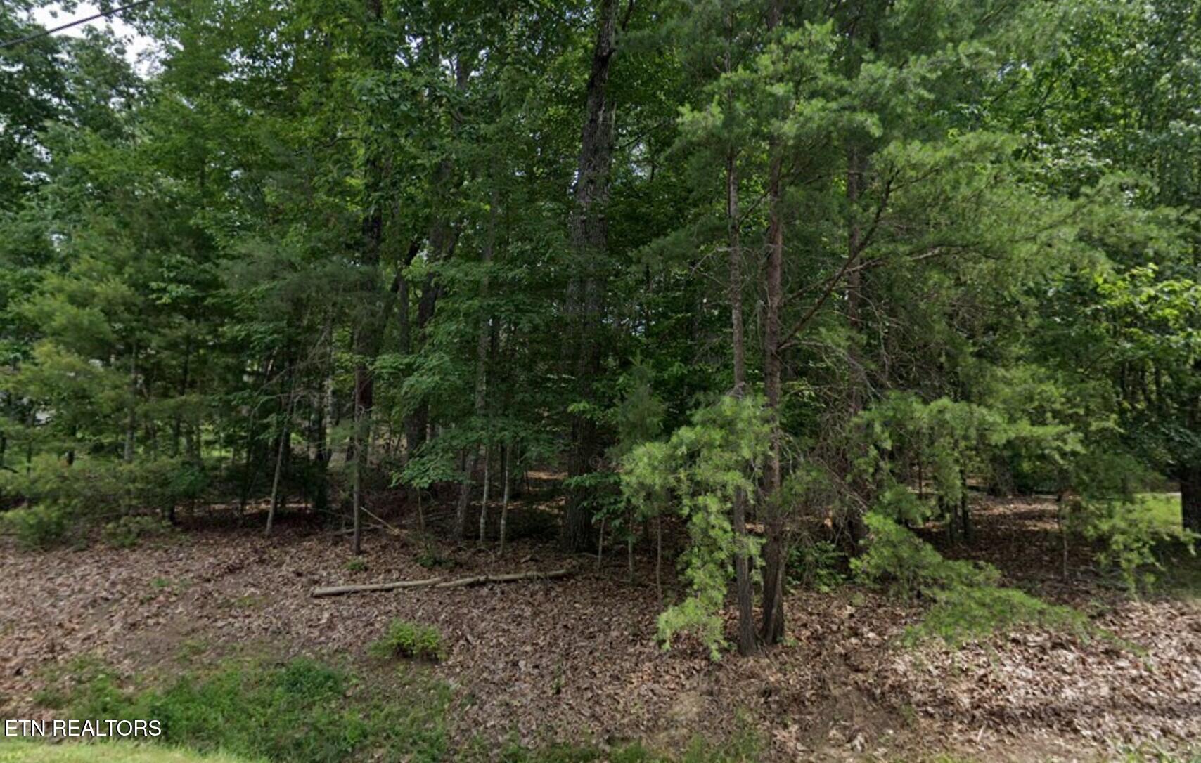 36 Markham Terrace Fairfield Glade TN 38558