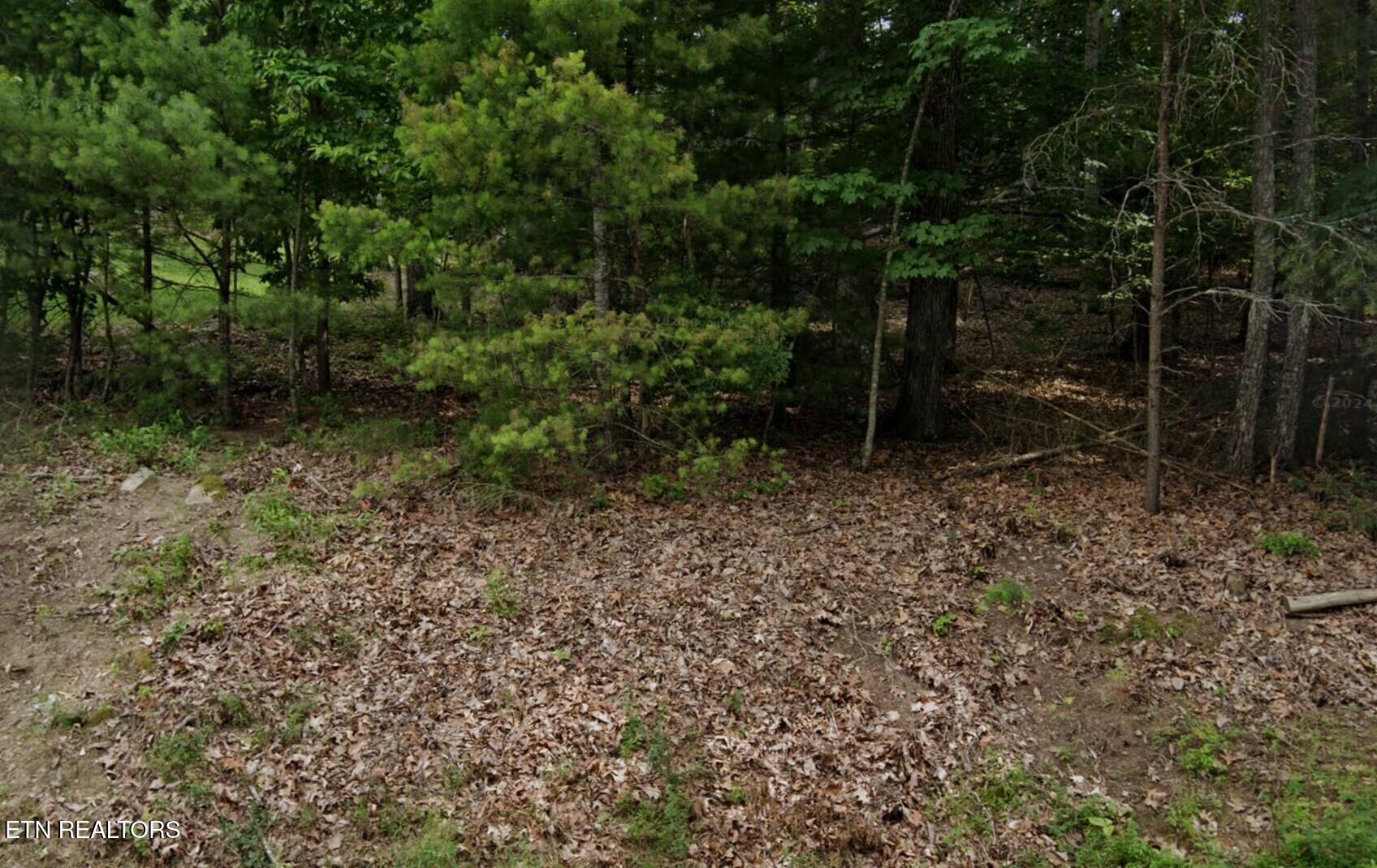 36 Markham Terrace Fairfield Glade TN 38558