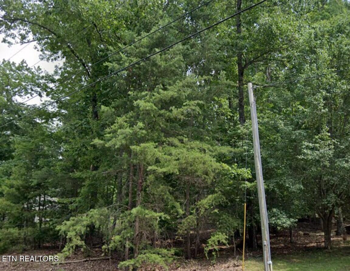 36 Markham Terrace Fairfield Glade TN 38558