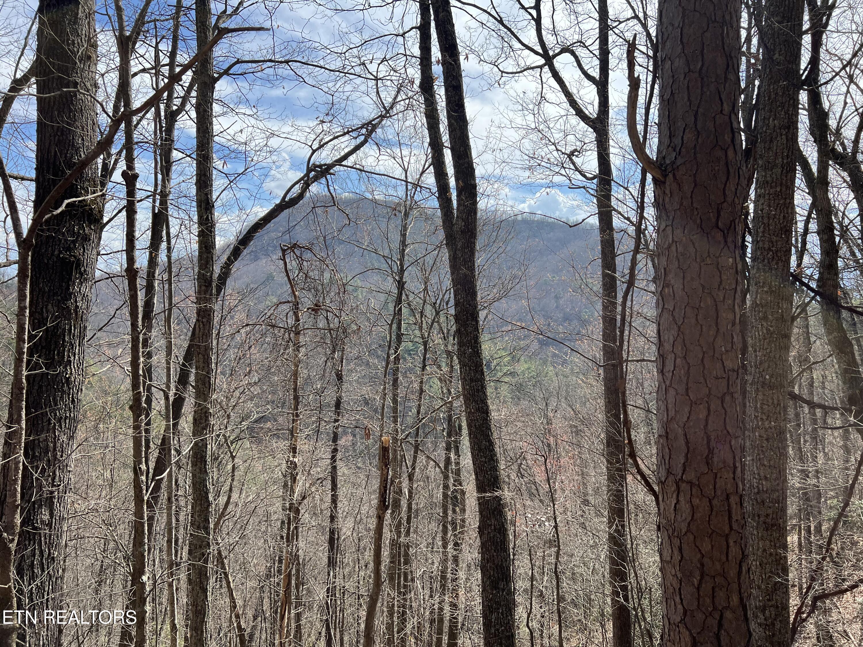 Aintree Drive Sevierville TN 37876
